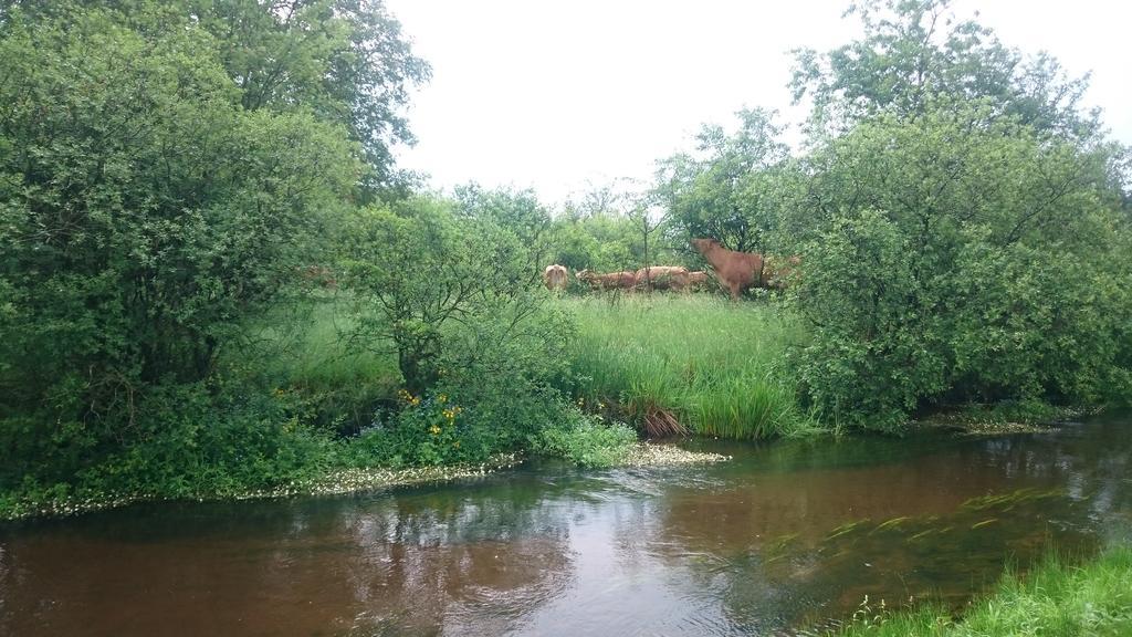 Aagaarden Διαμέρισμα Billund Εξωτερικό φωτογραφία